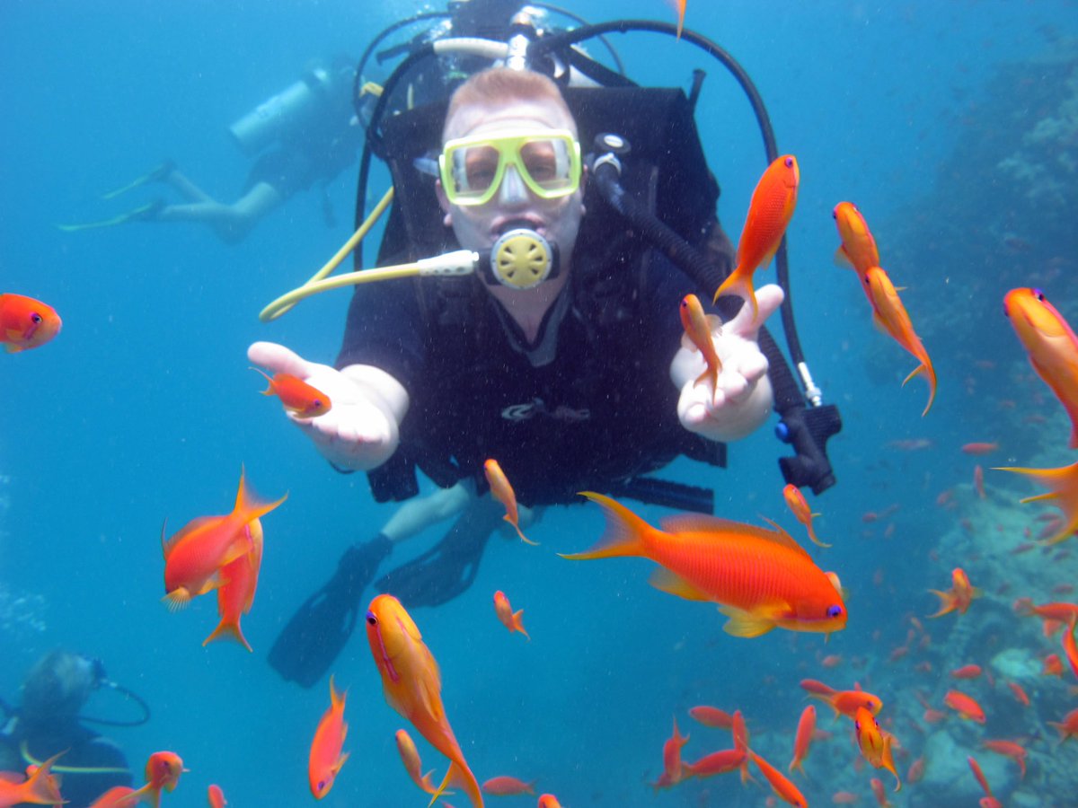 akdoganakd's tweet image. 