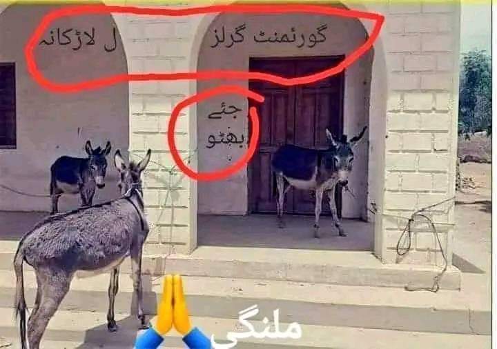 GhanianKhan's tweet photo. *یورپ نے جانوروں کو صرف حقوق دیئے اس سے ذیادہ کچھ نہ دے سکے😁*
*مگر قربان جائیے میری سندھ گورنمنٹ پر جس نے دنیا کی تاریخ میں پہلی بار جانوروں کے پڑھنے کا انتظام کیا اور اب آئندہ الیکشن میں کھوتے اور گائے بھینسیں بھی تیر پہ ٹھپہ لگائیں گی🤣😅😆*
*سڑو یوتھیو سڑو سندھ کی ترقی سے*😁 https://t.co/uEpz153DDh
