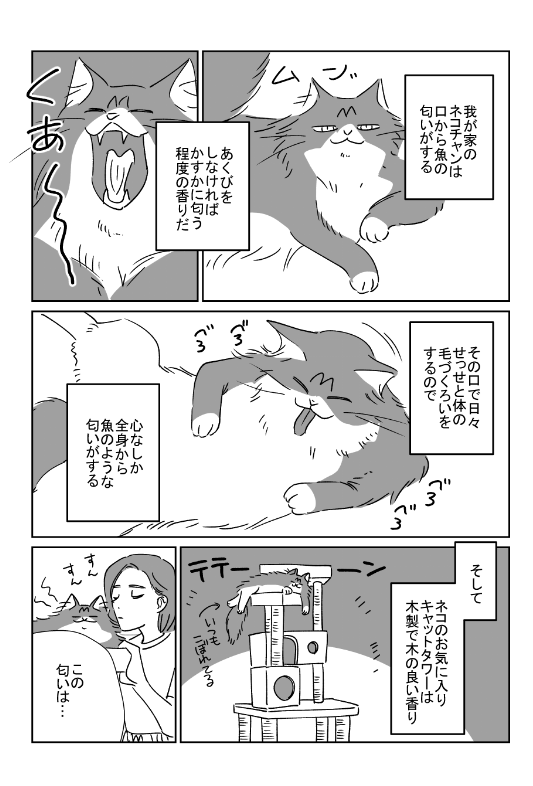 うちのねこ 
