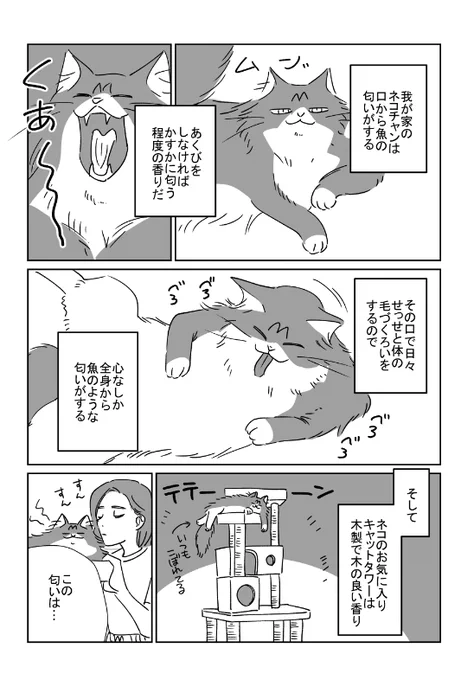 うちのねこ 