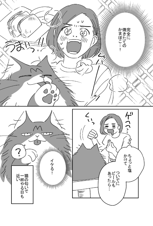 うちのねこ 