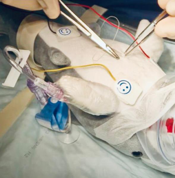 hopital_necker's tweet image. La magie de la pratique en pédiatrie : prendre en charge les patients dans leur globalité. 
Un doudou soigné pour amuser et réduire le stress d’un petit patient avant  son intervention chirurgicale. @hopital_necker @APHP 
#PEDIATRIE #ibode #infirmiers #infirmiere