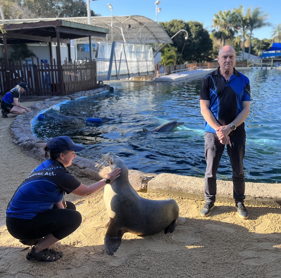 Had the unfortunate privilege to speak with the folk at Dolphin Marine Conservation Park as they announced they were going into administration today