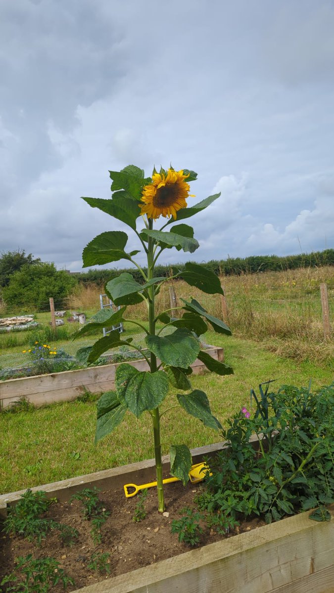 DunstonPrimarySchool tweet media