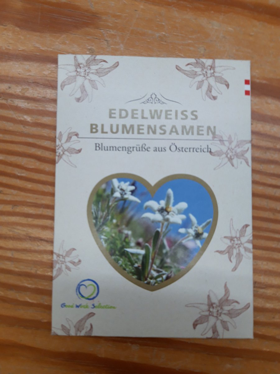 MadeWengen's tweet photo. https://t.co/yhtyVoojG1