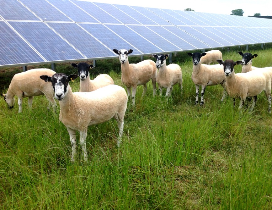 Wil je ook deelnemen aan een van de projecten van Rijn en IJssel Energie? In september start bv. de inschrijving voor Zonnig Duiven. Lees hier meer daarover: energiedeliemers.nl/2023/06/20/zon…