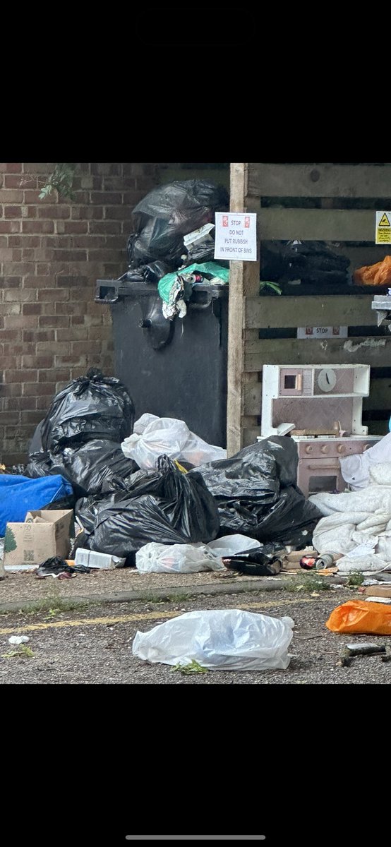 thomasrogears's tweet photo. Ahh @homegroup Van is back like it is everyday. Let’s see if TODAY is the day they tell head office there’s a rubbish problem at their property. Fingers crossed! Me again, would you mind sorting your pollution out please? @ContactKingston @Kingstongreen_ https://t.co/lwD2X227B6