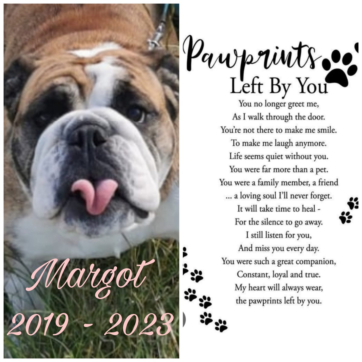 nutcuttlit's tweet photo. Gonna place some of these at her favourite walk sites, she made many friends and it's very difficult to speak about it over and over again. My heart will never recover. https://t.co/FetxxgbFxh