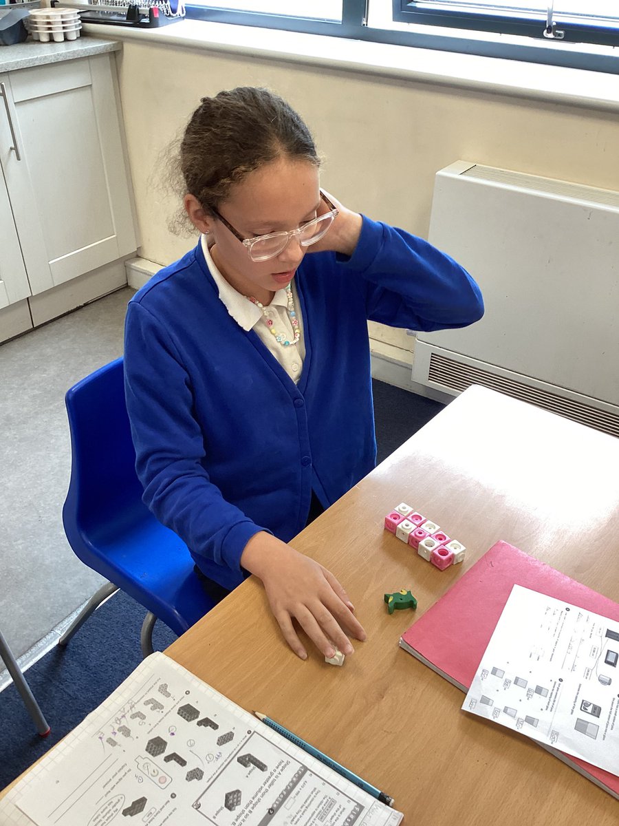 Macaw Class Y5 tweet media