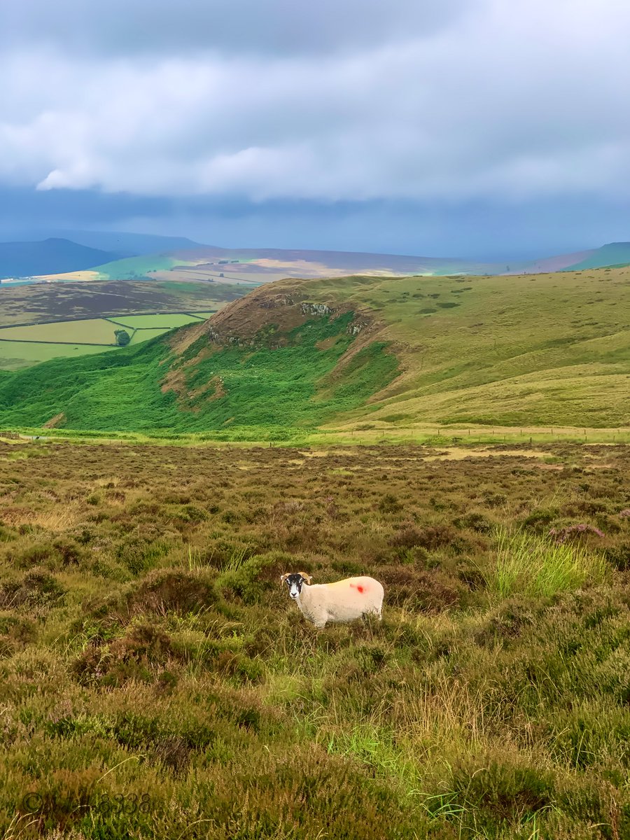 abdalla8338's tweet image. More from the walk up to Higger Tor

#UpperBurbage #HiggerTor #peakdistrict