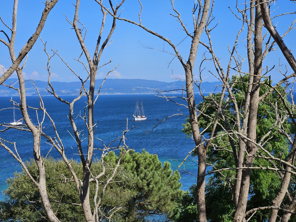 Name cannot be blank tweet media