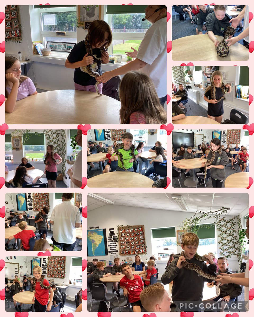 Acresfield1's tweet image. The Jaguars are loving their reward day so far! Lots more photos to follow! @AnimalsTakeOver