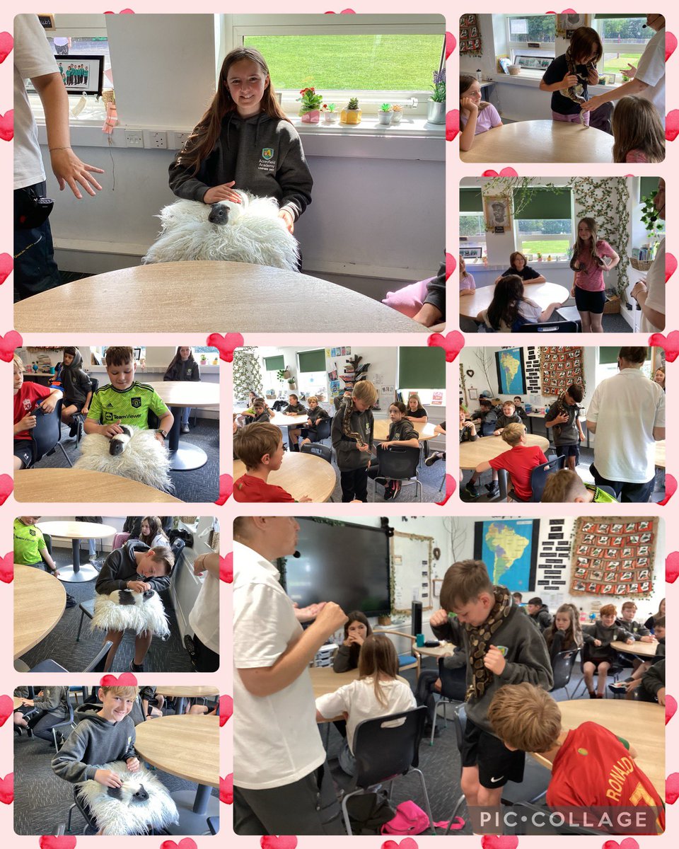 Acresfield1's tweet image. The Jaguars are loving their reward day so far! Lots more photos to follow! @AnimalsTakeOver