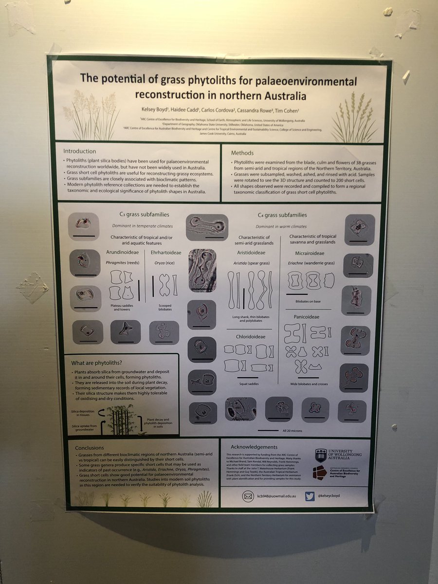 If you’ve made it to the last day of #INQUARoma2023 come check out my poster at 003 in MUST 1 🌾🌾