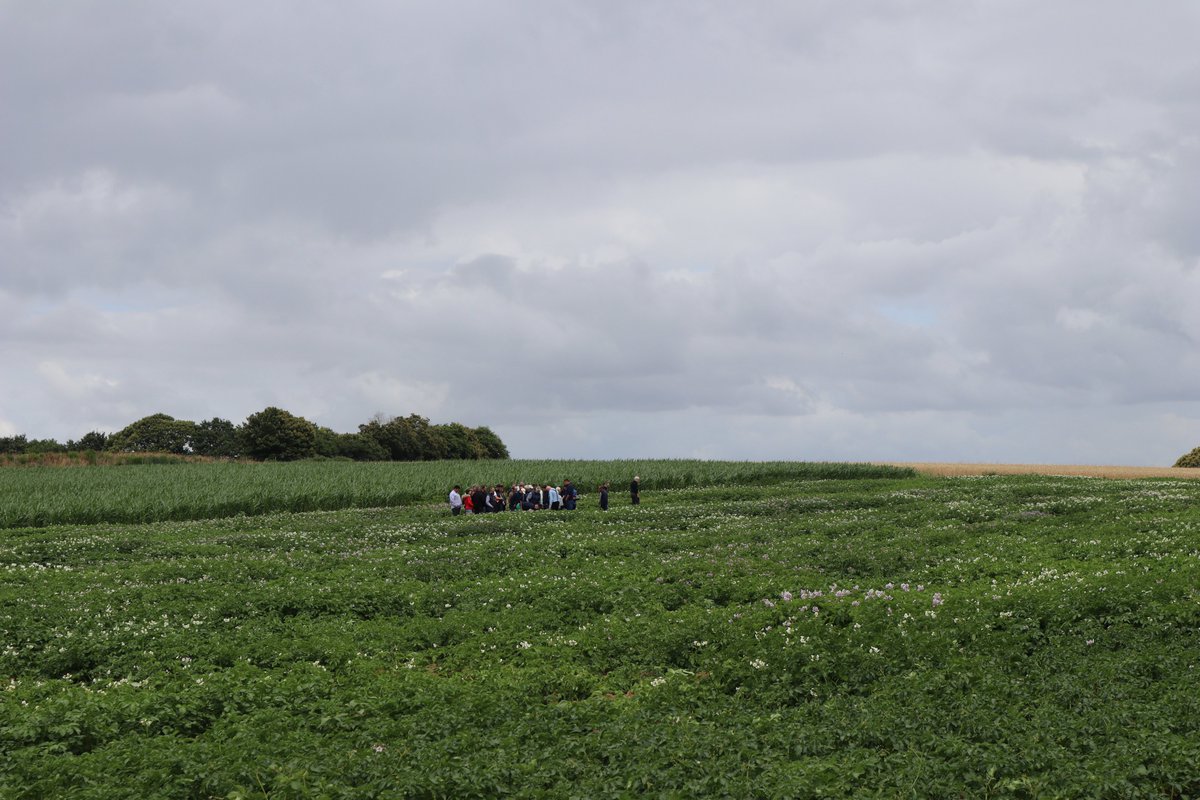 Germicopa tweet media