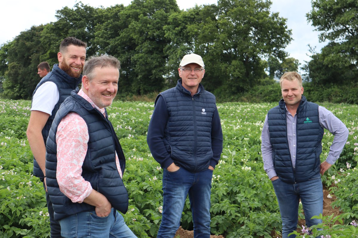 Germicopa tweet media