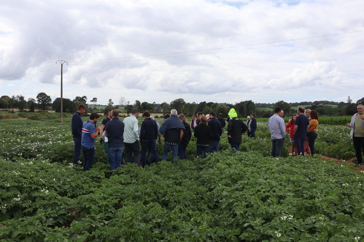 Germicopa tweet media