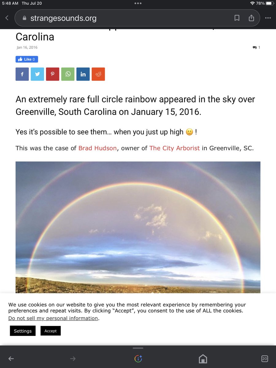 cbw1960's tweet photo. @TheGoldenRatio4 I had to put my sweet Nellie to sleep on January 12, 2016.  As I held her in my arms, I whispered to her, “Send me a rainbow when you’ve safely crossed the bridge.” Three days later, this occurred where I live (Greenville, SC). I know it was from her. https://t.co/KO4RERaUAx