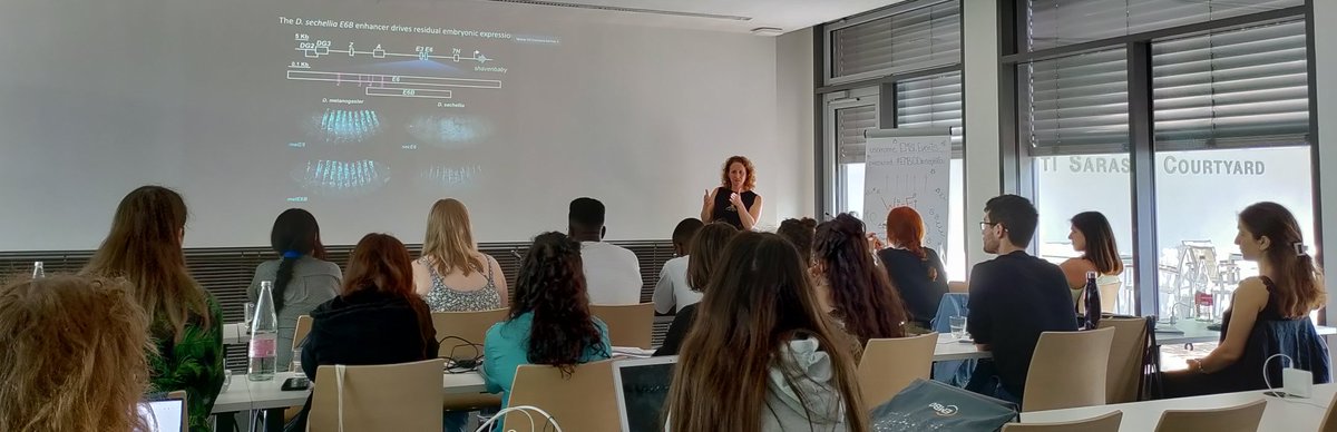 Delving into the intricacies of evolution! 
Dr. Ella preger ben-noon talking about the evolution of a complex morphology at a single-cell resolution at #EMBODrosophila 
@Ella_Preger <a href="/EMBLEvents/">EMBL Events</a>