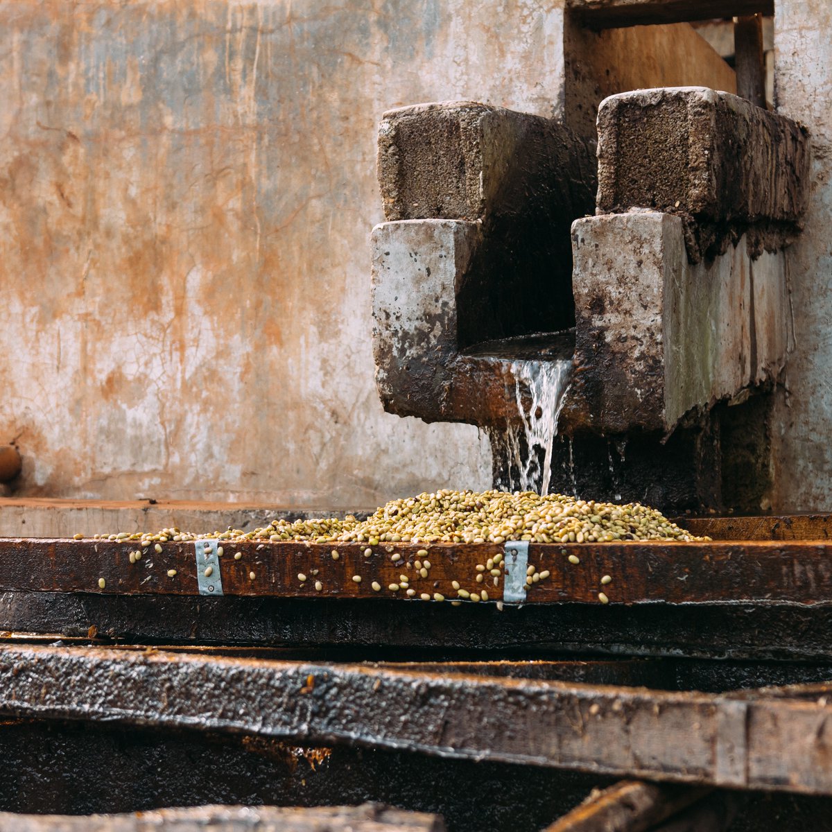 Trabocca tweet media