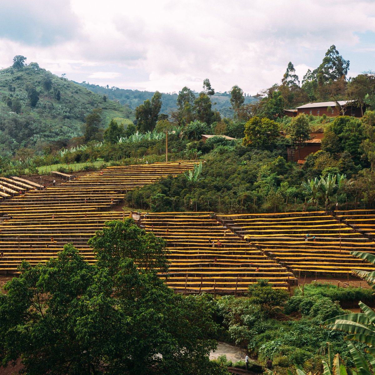 Trabocca tweet media