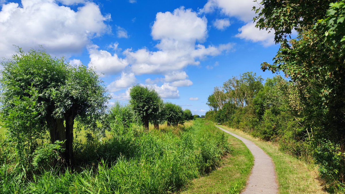 Tim Zijlstra tweet media