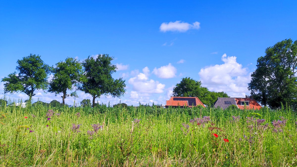 Tim Zijlstra tweet media