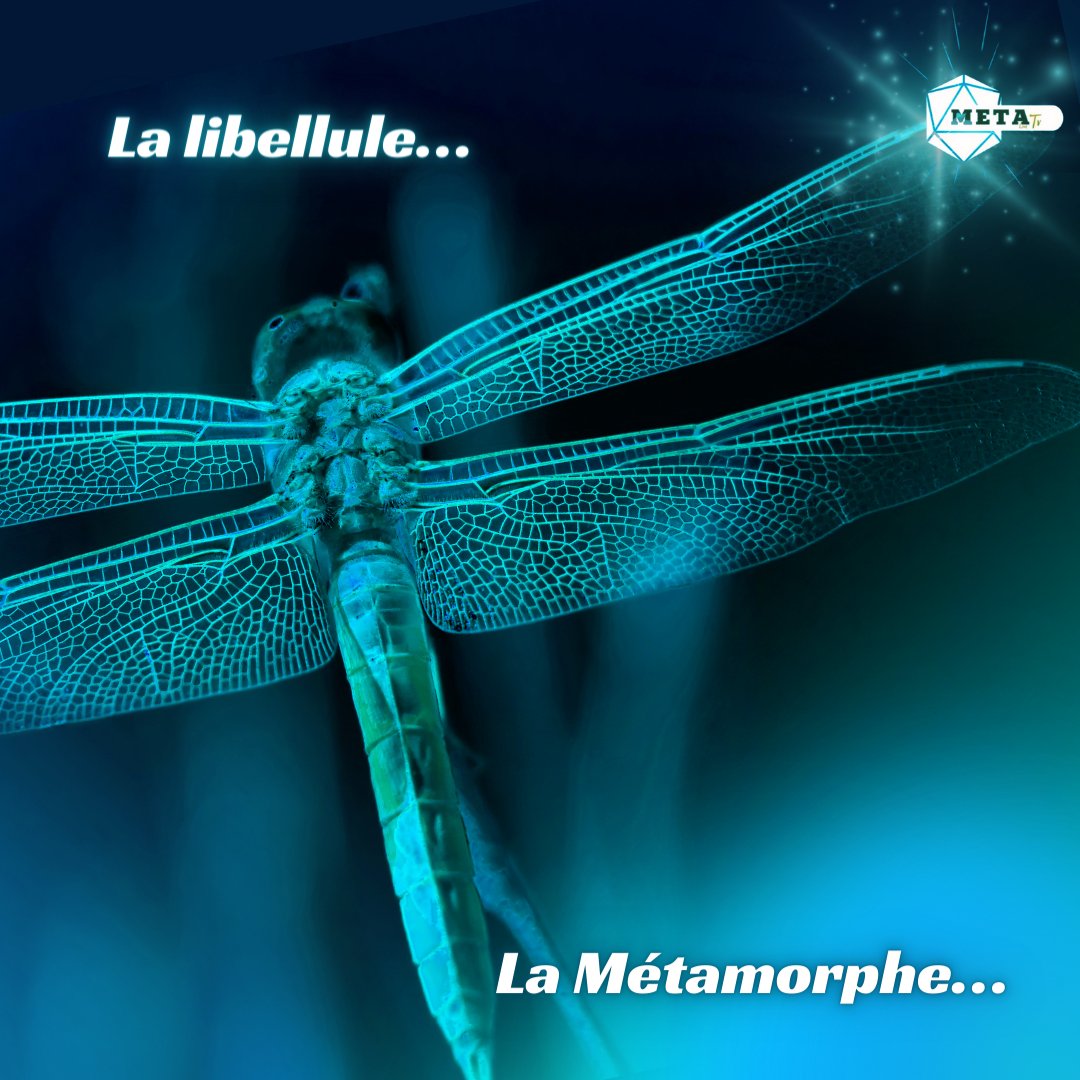Metatvlive's tweet photo. "Découvrez la magie des libellules ! Ces créatures éthérées symbolisent la transformation personnelle et la croissance spirituelle.

La libellule nous enseigne la puissance de l'adaptation et de la métamorphose. 🦋✨

Rejoignez-nous sur Meta Live Tv 🌈💎 #Libellule https://t.co/pf3rRT2JVx
