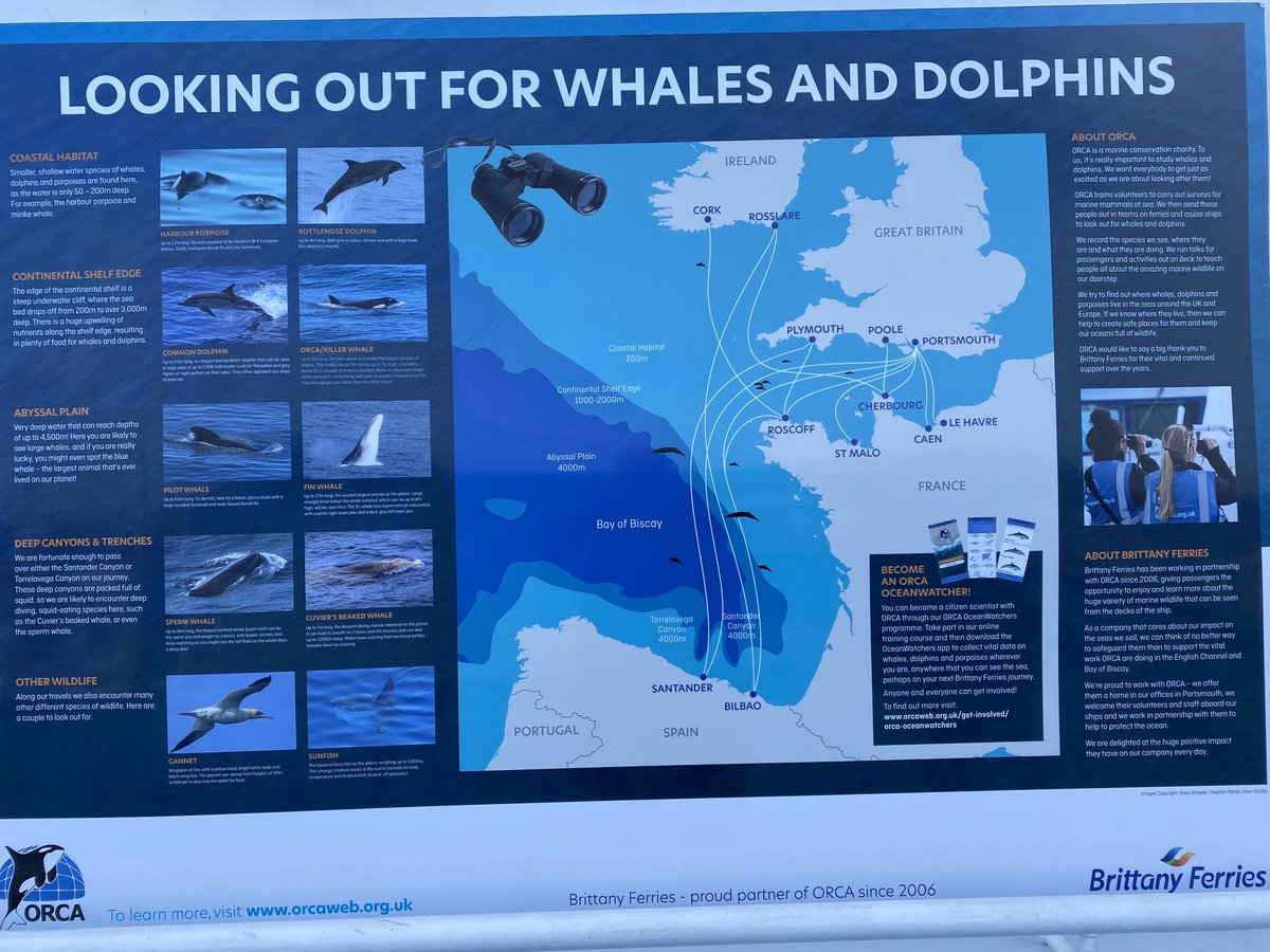 MatPhillips2's tweet image. Really impressed by ⁦@ORCA_web⁩ ⁦@BrittanyFerries⁩ collaboration. Interesting volunteers enthusing passengers with spotting whales and dolphins and excellent talks.