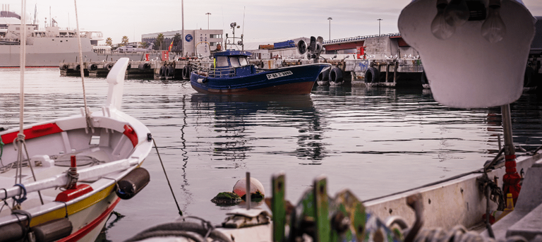 TGNImpulsa's tweet image. 🎣Economia Blava a @tarragonaradio 
Demà la Cristina Altadill, agent de desenvolupament local #AODL de #TGNImpulsa ens explicarà les conclusions tècniques de les tres taules temàtiques sobre #EconomiaBlava celebrades la setmana passada
📆 21.07.23
⌚️11.15 hores 
📻Tarragona ràdio