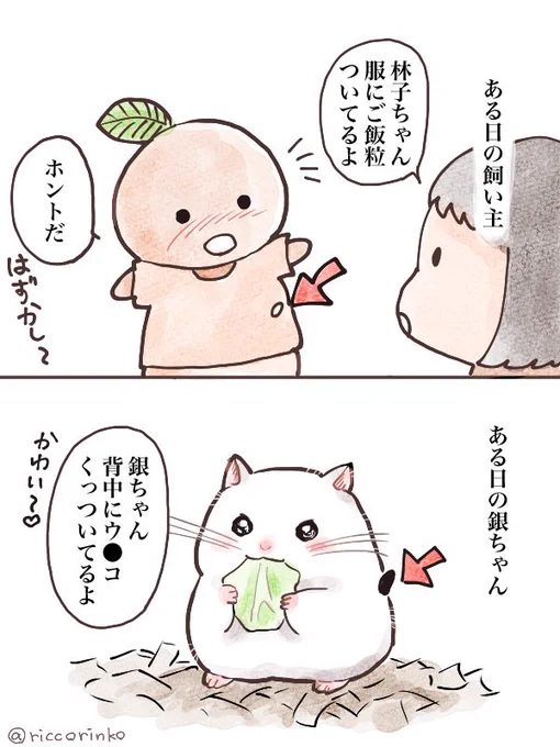 いつの間にか付いてるんです🤦‍♀️
 #ハムスター  #漫画が読めるハッシュタグ  #日記 