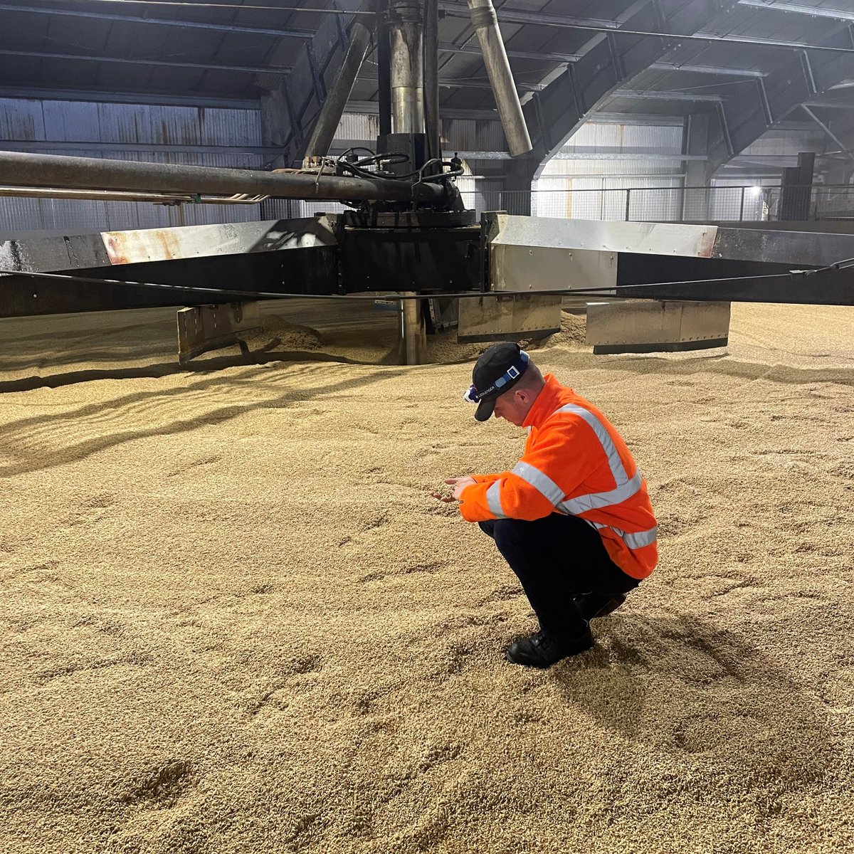 👨‍🔬 Meet Callum McIntosh, our multi-talented #ProductionAssistant at #Portgordon #Maltings in #Scotland. 
🌾 From discussing #DistillingMalt blends to being an on-call #firefighter, Callum brings his passion and expertise to every role he undertakes. 
🔗 hubs.ly/Q01YhBxr0