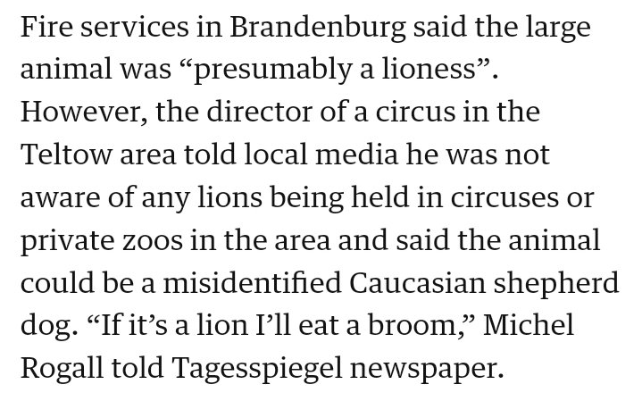 will__sp's tweet photo. Attention @guardian - The German phrase "fress ich einen Besen" doesn't work as a direct translation 😂 #löwin #kleinmachnow #calque https://t.co/kvyOdfpxkN