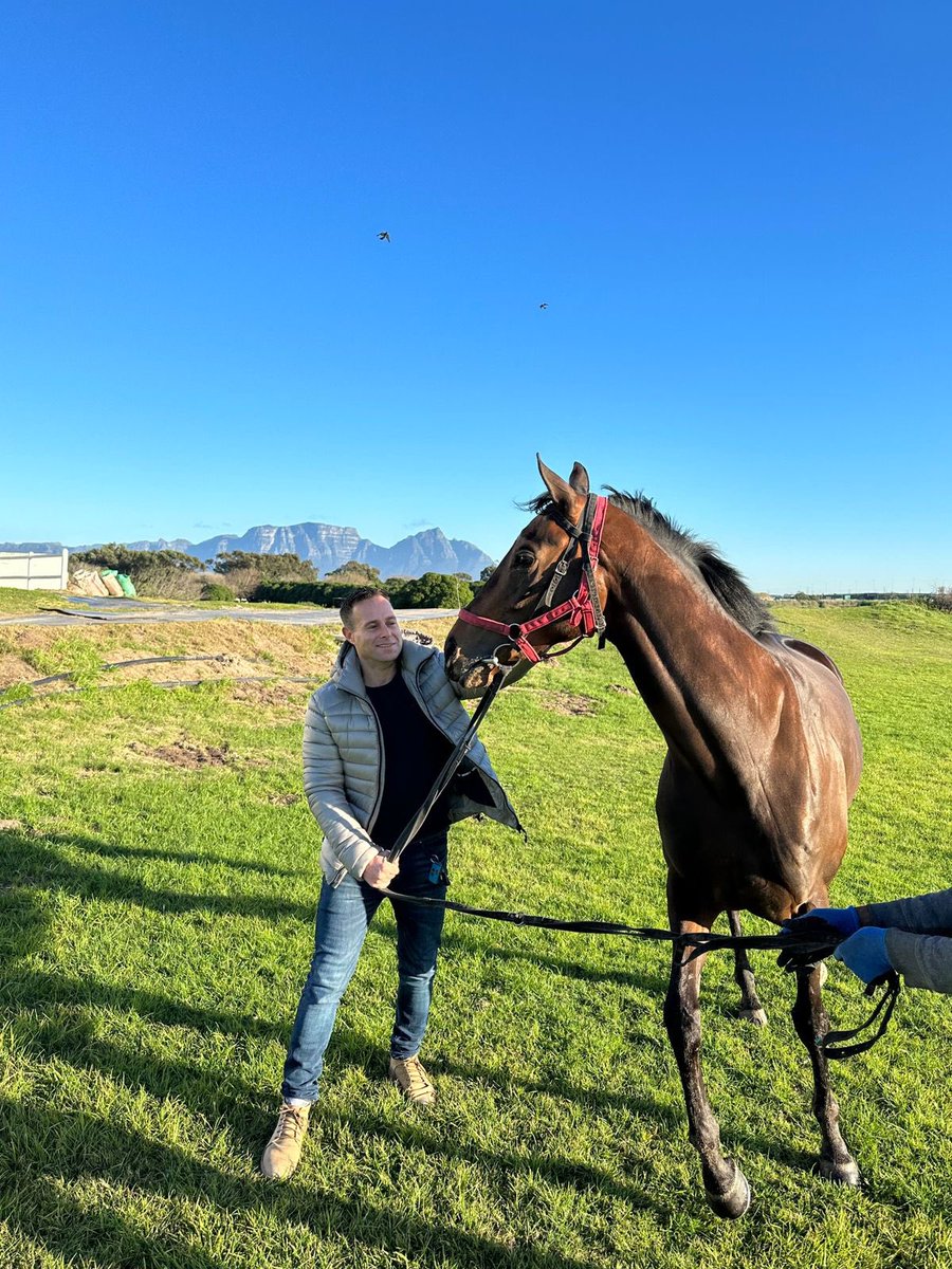 GulfRacingClub's tweet photo. Spring Palace ahead of the Gr3 Langerman this Saturday! Prepped to perfection by @SnaithRacing 
#caperacing #gulfracingclub https://t.co/zoDC5Wz2xs