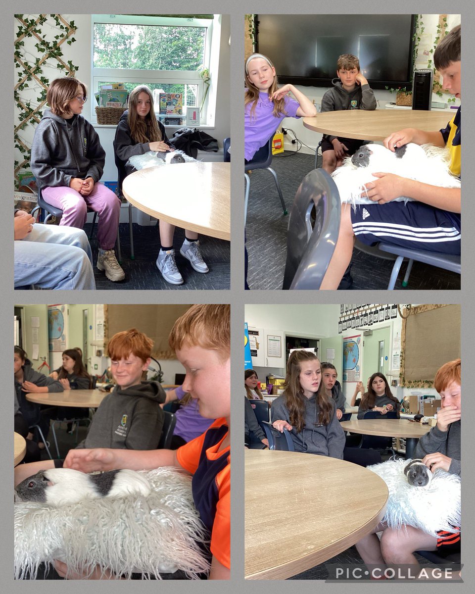 Acresfield1's tweet image. More photos from this morning! The Jaguars loved seeing all the different animals 🐸🐍 🤩 @AnimalsTakeOver