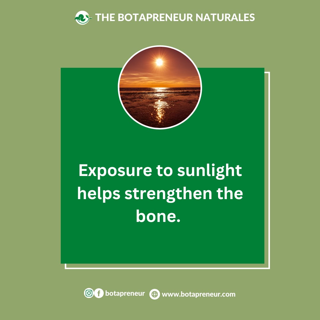 botapreneur's tweet photo. Exposure to sunlight increases the production of Vitamin D in the body which in turns Strengthens the bones. 

10-15 minutes exposure to the early morning Sunlight will do you a lot of good. 

#HealthyLiving
#TheBotapreneurNaturales https://t.co/ch9LipOzeb