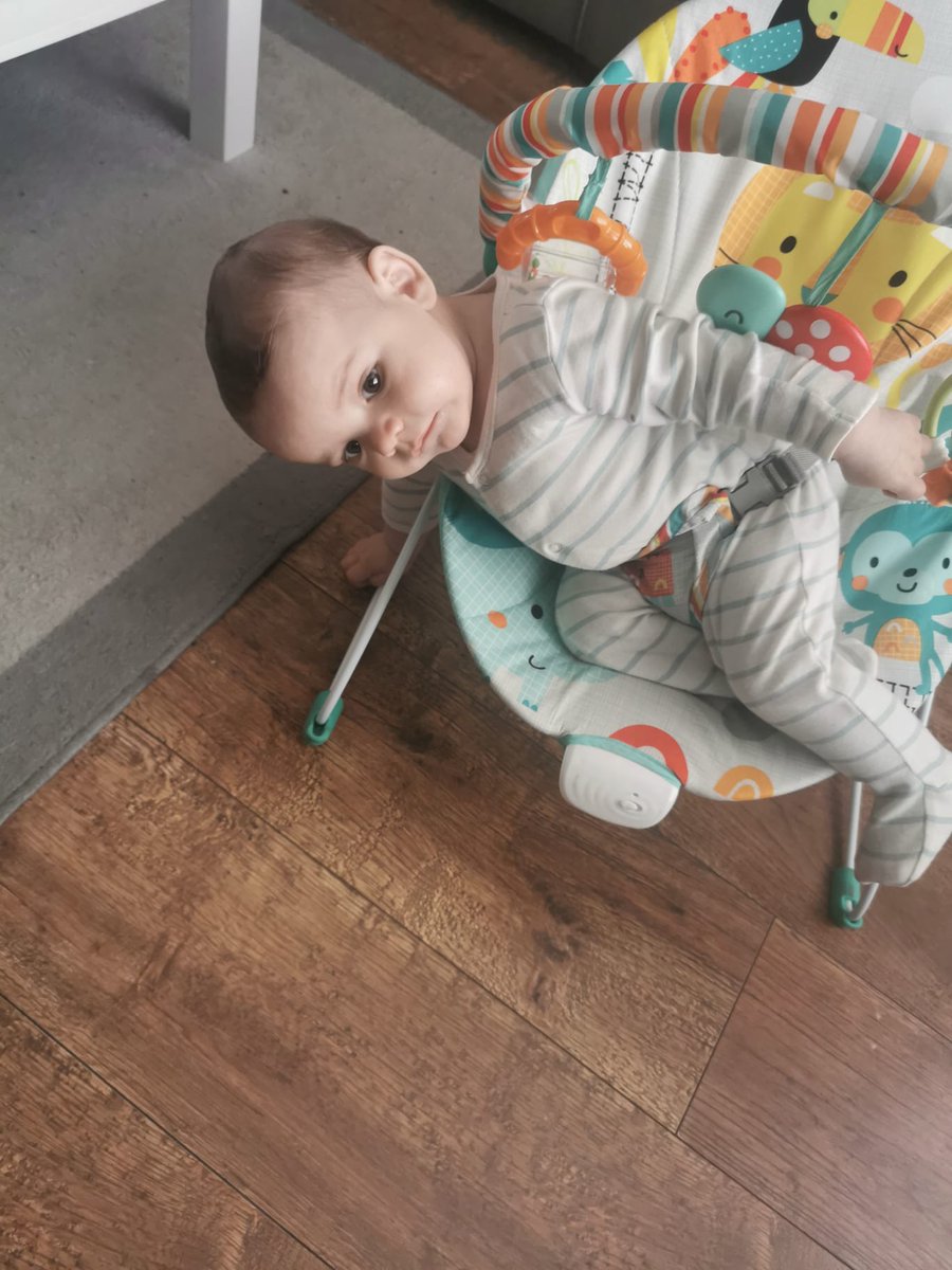 nutcuttlit's tweet photo. @wavey_gravey He also likes to try escape his bouncer 🤣🤣 https://t.co/jb5YW2auRS
