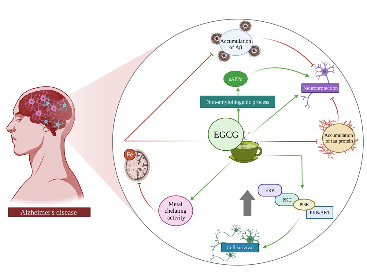 Vega García-Escudero tweet media