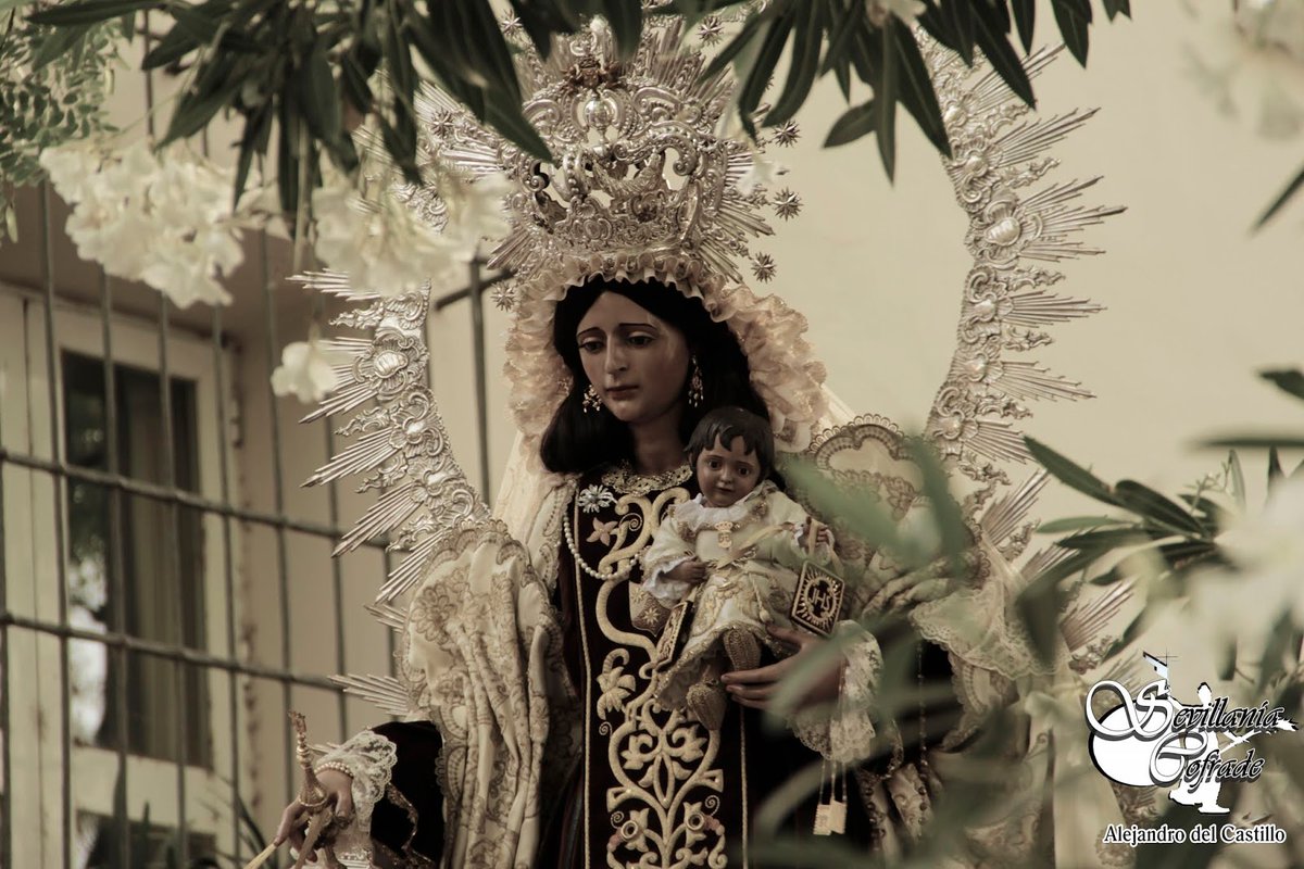Hoy, Procesión de la Virgen del Carmen del Puente #TDSCofrade 

➡️ sevillaniacofrade.com/2023/07/hoy-pr…