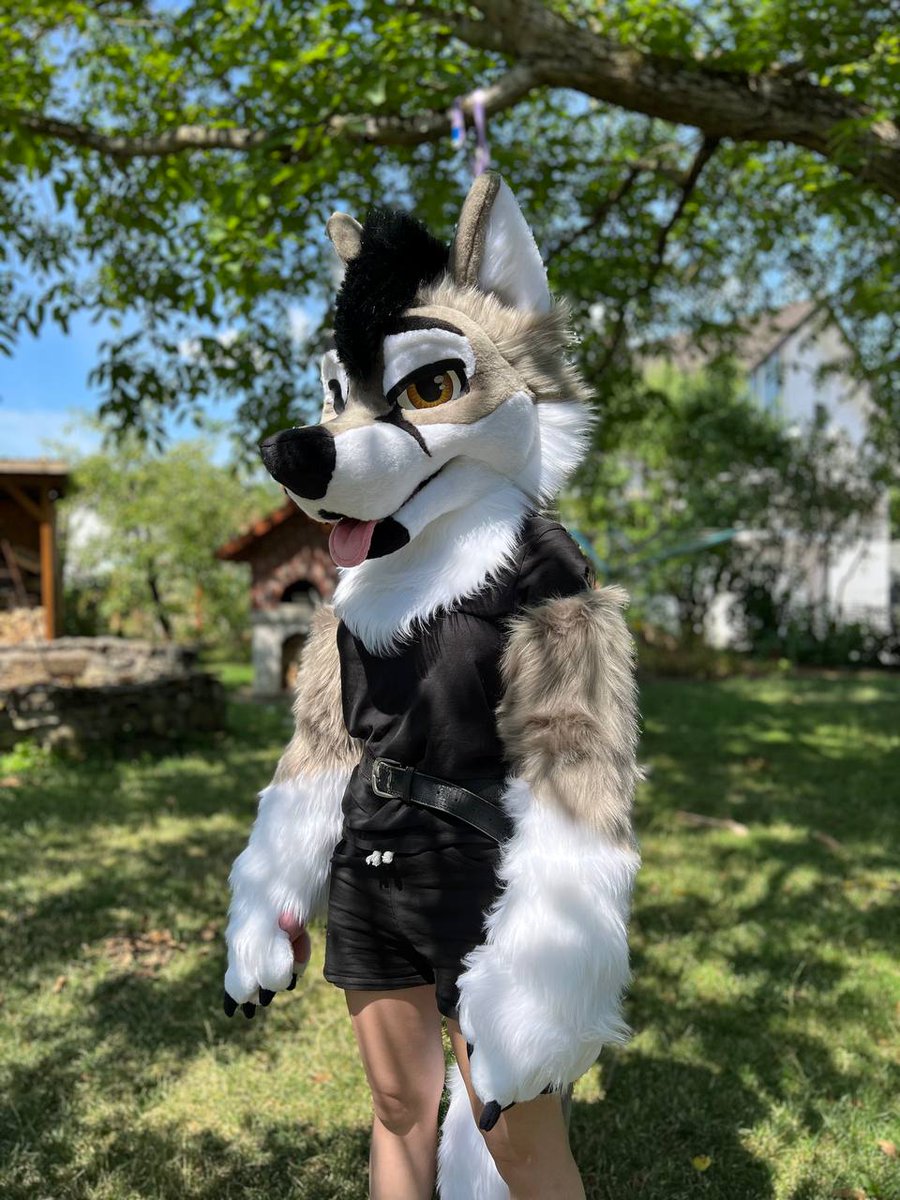 MilesFurStudios's tweet photo. Here he is! 
Finally got a (very smol) model to take some pictures. Everyone let's welcome Arctic to the MFS Family 🩵 https://t.co/L844obHSUm