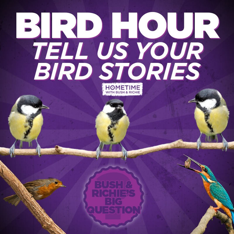 Absolute Radio tweet media