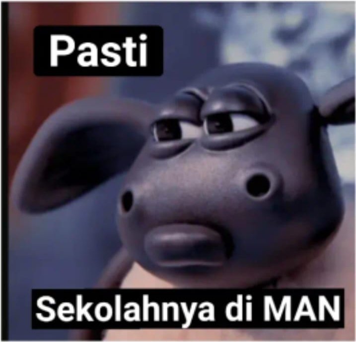 beebadobea's tweet image. doain aku survive guys