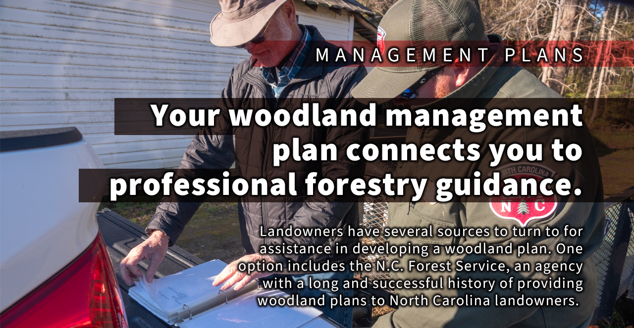 N.C. Forest Service on Twitter "Landowners have several sources for assistance in developing a