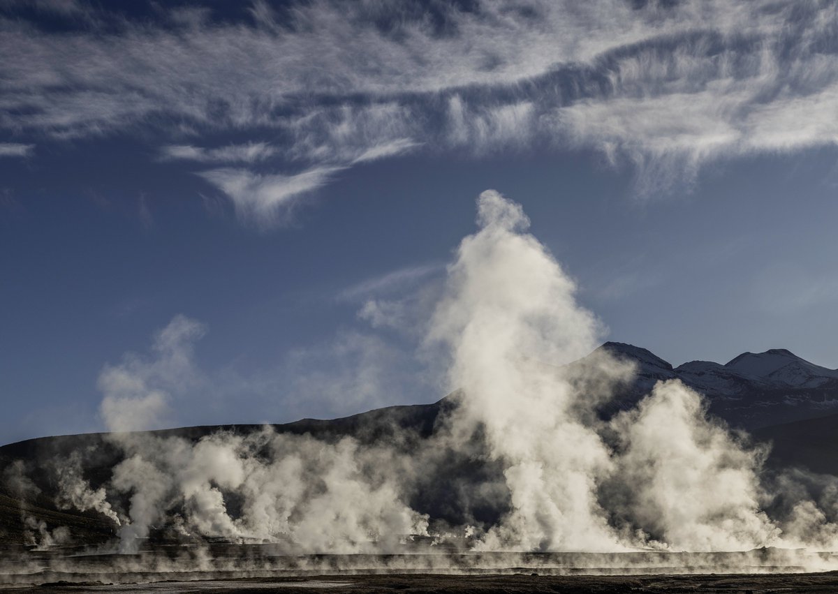 Grete Howard tweet media