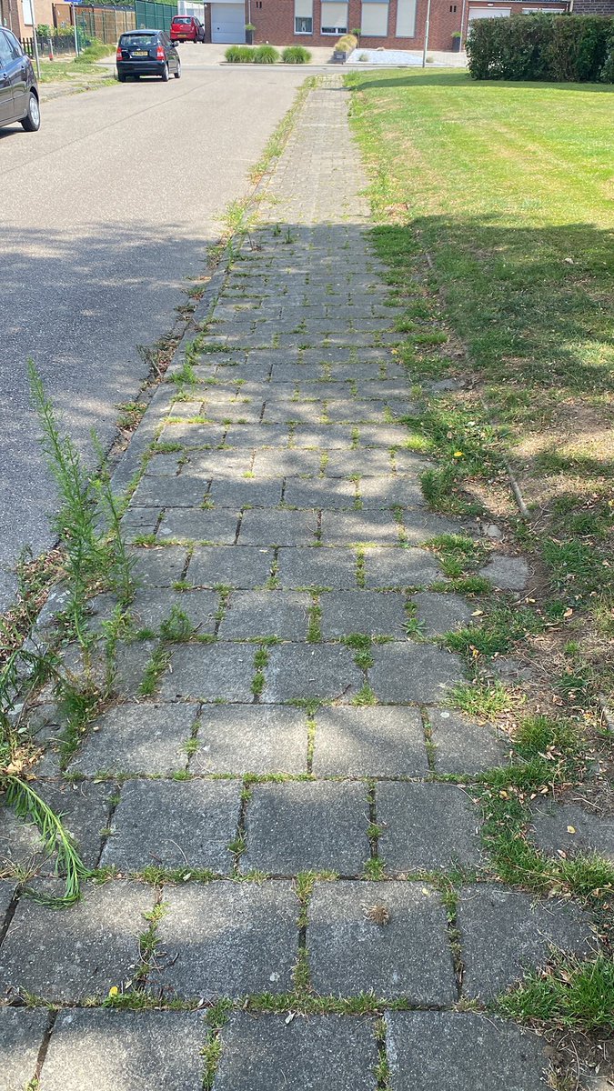 sjutterke's tweet image. Meerssen doet weer mee met groenste gemeente