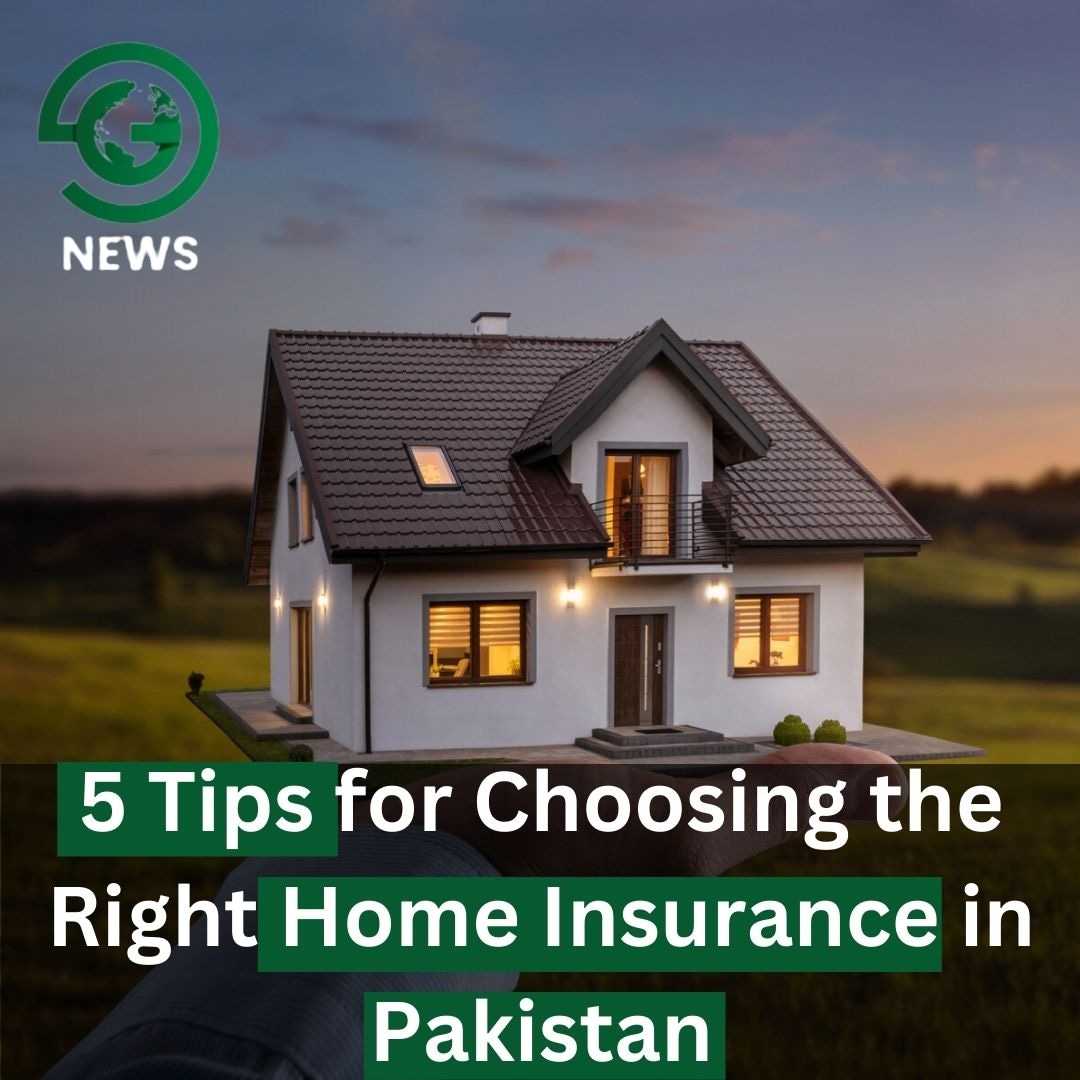 garrisonnews123's tweet photo. 5 Tips for Choosing the Right Home Insurance in Pakistan
https://t.co/PCOE9hOnAm
#homeinsurance #homeinsurancepolicy #insurancepolicy #safehome #safefuture https://t.co/LxY7FIOSKy