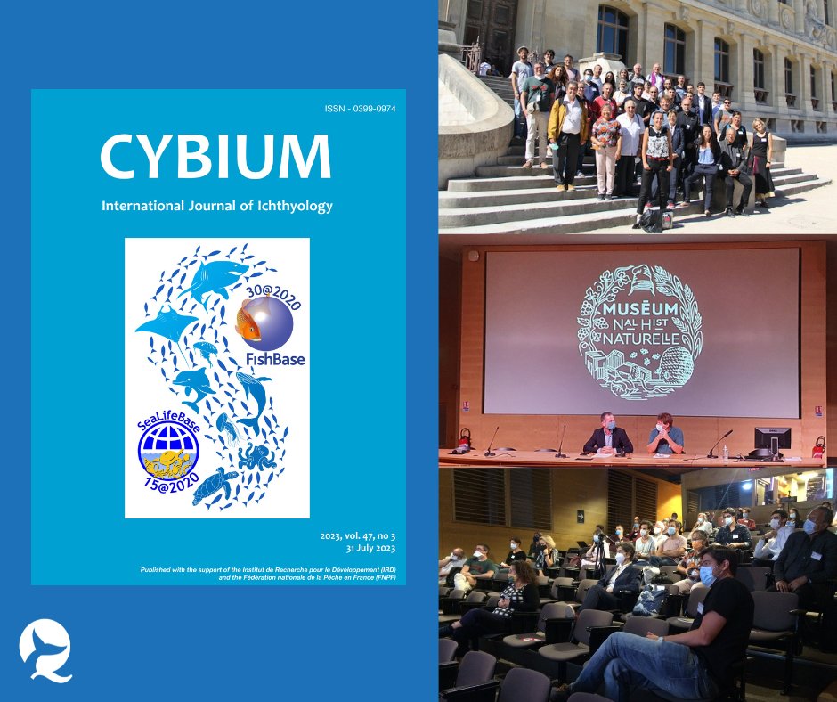 FishBaseProject's tweet photo. 📣🆕 A special issue of @cybium for all the papers presented at the #FishBase &amp; #SeaLifeBase 2021 Anniversary Symposium in Paris 🇫🇷 | https://t.co/4HJqO0K2Wy! #FishBaseSymposium

All the articles are free-to-access online for 6 months at https://t.co/vzuzCYPxXQ. https://t.co/UWnaKvkRmG