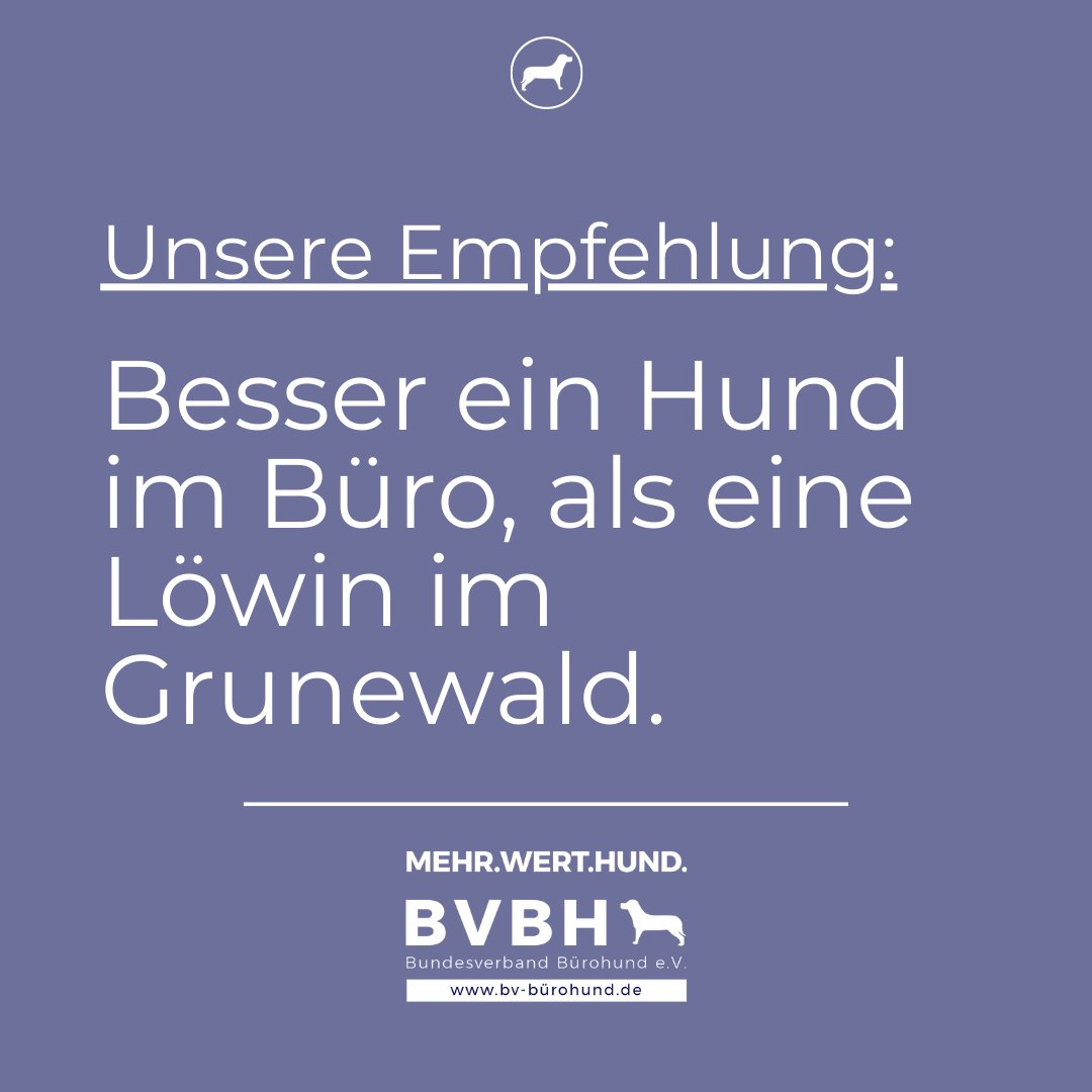 BV_Buerohund's tweet photo. Falls du gerade darüber nachdenkst und abwägst. Wir helfen dir, eine Meinung zu haben.

#whataboutism #Löwin #Bürohund #Kleinmachnow #Tier #Raubkatze #LifeHack #Einordnung https://t.co/vgqpfT3Xm6