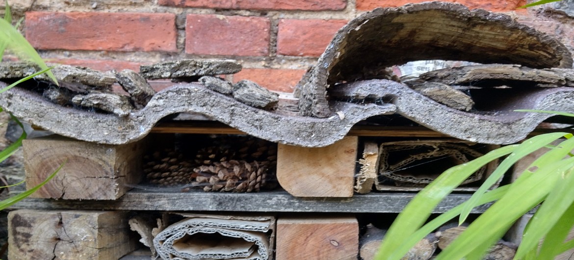 PrimaryTimesNorfolk tweet media