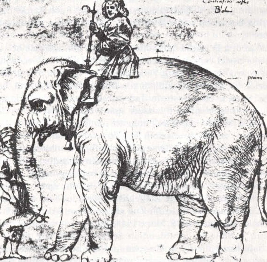 Quite Interesting On Twitter Pope Leo X 1513 1521 Had A Pet Quite Interesting On Twitter Pope Leo X 1513 1521 Had A Pet